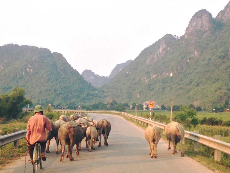 Phong Nha Midtown Hotel Cu Lac Eksteriør billede